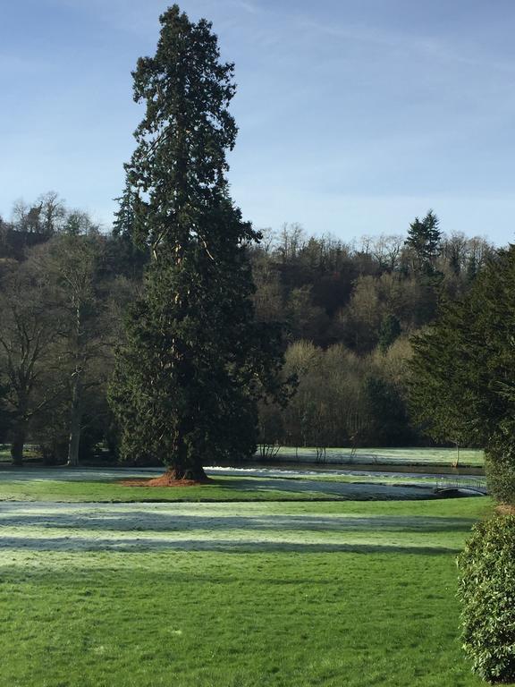 Le Manoir De Benedicte B&B Cahan Exteriér fotografie